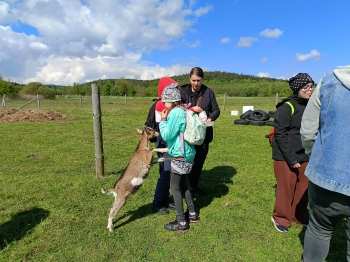 IMG20250512094405