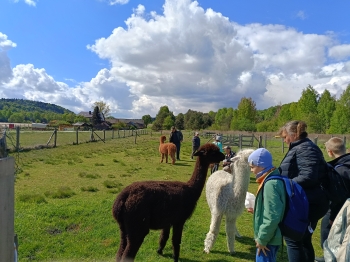 IMG20250512095321