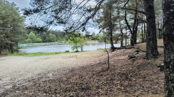 IMG_20250524_103650239_HDR
