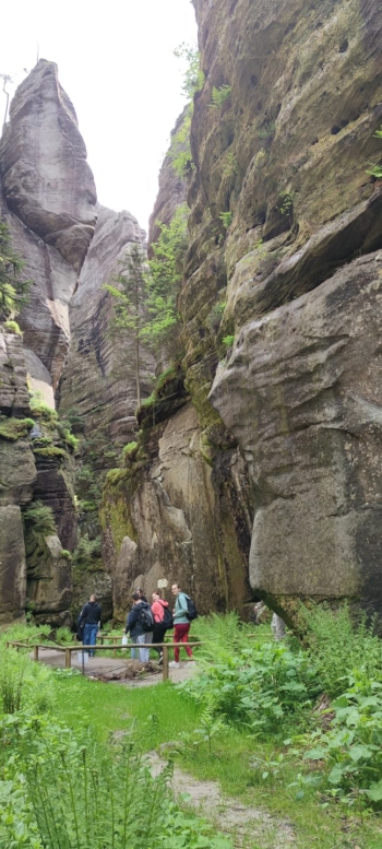 IMG-20250615-WA0041