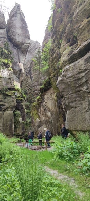 IMG-20250615-WA0043 (1)