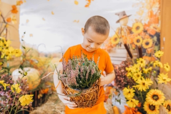 160defca-b01e-414b-974e-d86bb9a05674