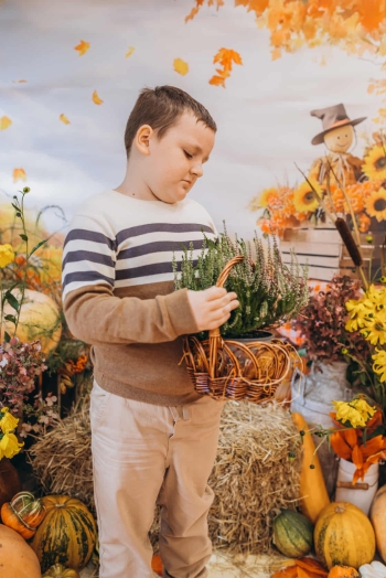 1895a45f-0abd-4141-873d-ddf7aff7d43b