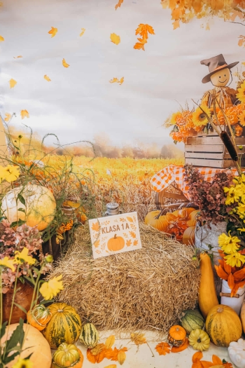 4aa3de8f-9e69-461d-a29b-8eec51f62007