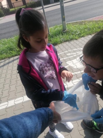 d3b6ad67-158a-4bb7-ab89-ed3902d4ddfa