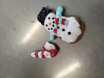 IMG_20251124_103700438