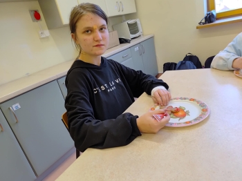 29463e9a-317d-4cc5-a854-156f179777a1