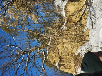 IMG_20260121_101453052