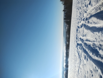 IMG_20260121_102246731