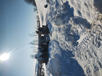 IMG_20260121_114236312