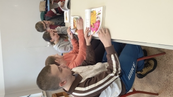 IMG_20260129_132346012