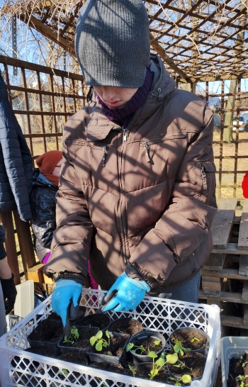 IMG_20260311_123303623_HDR