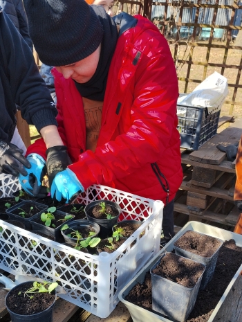 IMG_20260311_123615645_HDR