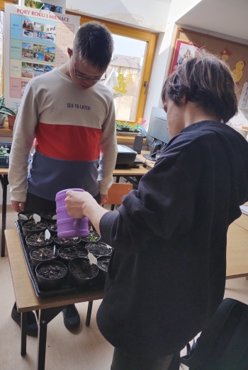 IMG_20260323_131035109_HDR