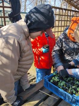 IMG_20260311_121955526