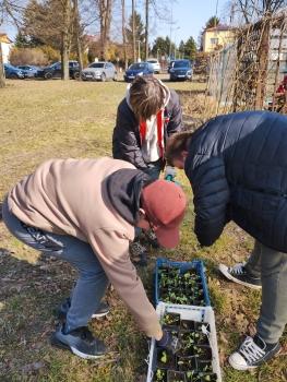 IMG_20260311_123227999