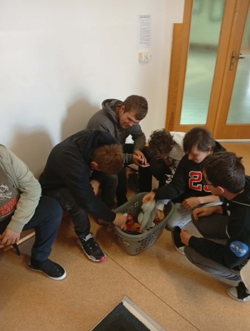 6b8990b8-392c-47be-beae-098097ff285f