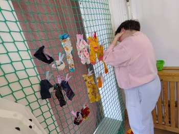 15fc21c3-b88c-43c5-a16d-934dd74251d9