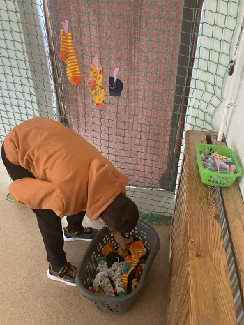 653642069_2413384229091136_8730286021914425677_n