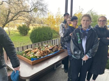 Wystawa grzybów świeżych