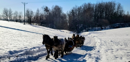 Z kopyta kulig rwie…