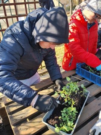 ,,Florastolarnia’’