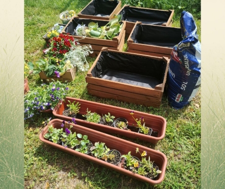 III etap projektu ,,Florastolarnia’’