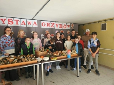 Wystawa grzybów w Powiatowej Stacji Sanitarno-Epidemiologicznej